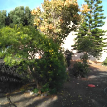 Maison d'hôtes Jasmina *